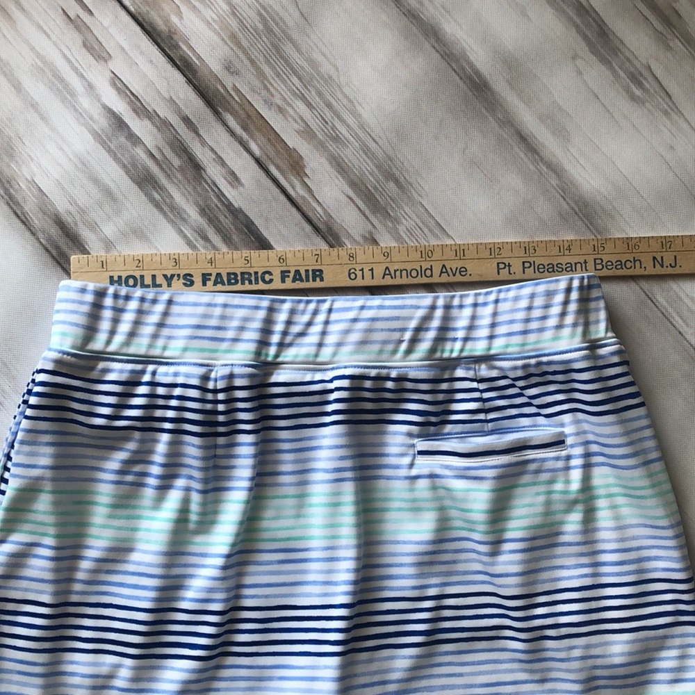 IZOD GOLF SKORT / WOMANS LARGE - Picture 8 of 10